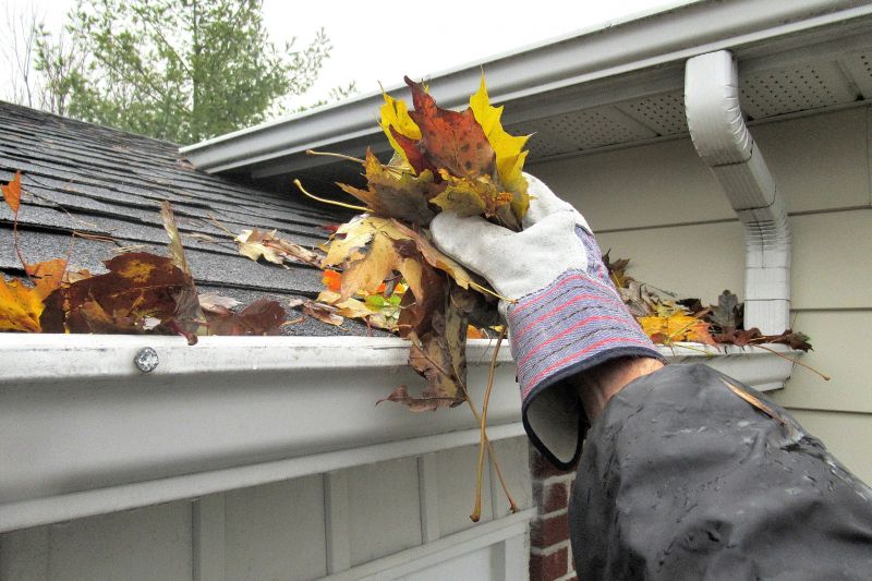 Gutter Pine Needle Removal in Longmont, CO