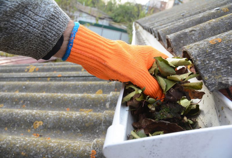 Roof Gutter Cleaning in Monmouth County, NJ